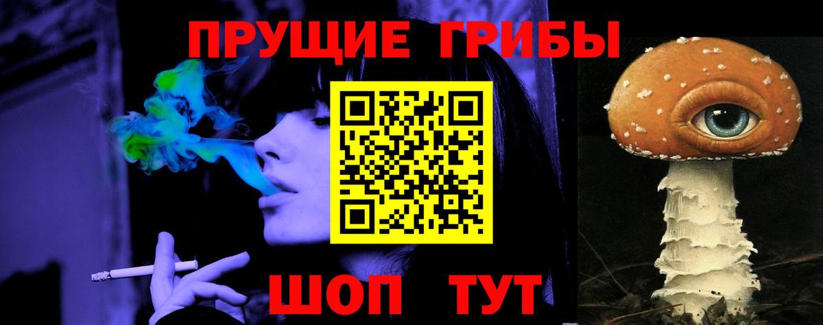 дарнет шоп  Вход с VPN  Качканар  Псилоцибиновые грибы Cubensis 